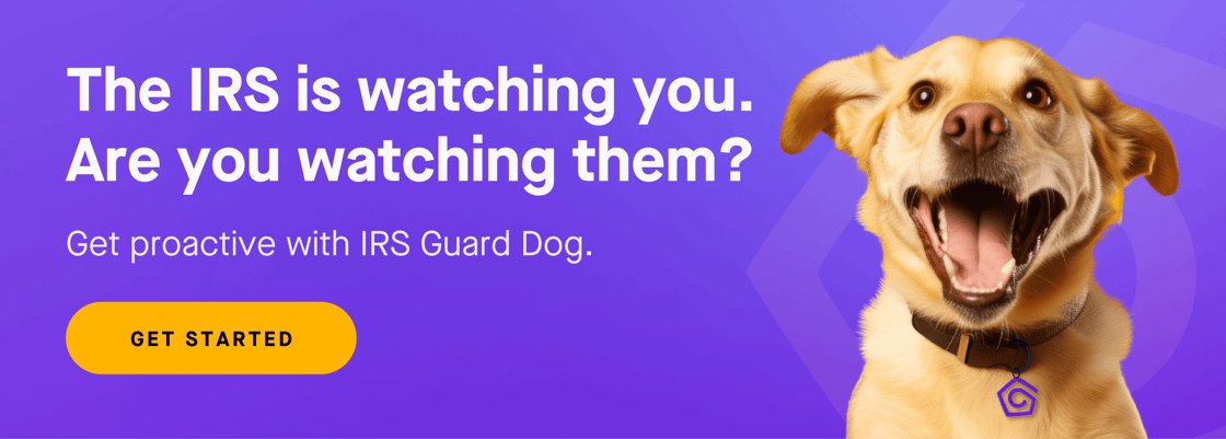 Promo_Banner_IRSGuardDog_v1