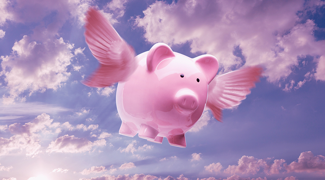 pigs-fly
